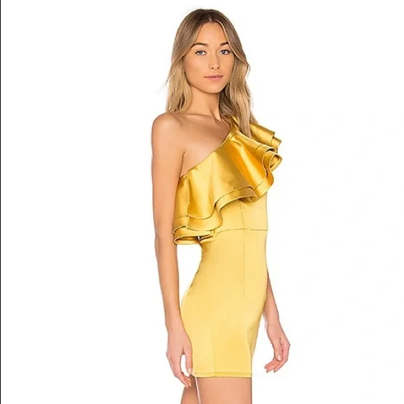 Michael Costello x Revolve Joey Mini Dress - Picture 2 of 5